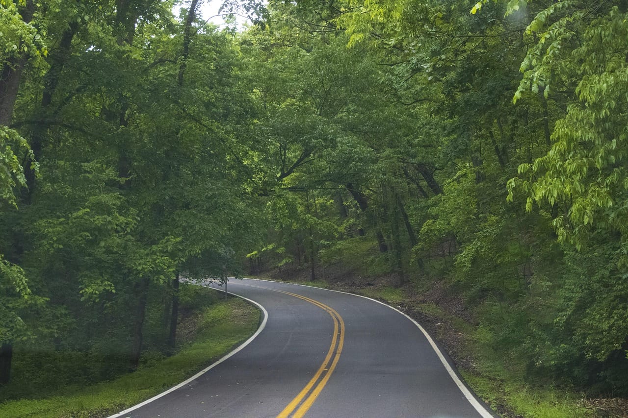 A road that leads the eye straight into the picture.