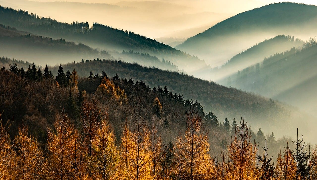 Our reference: morning light over layered hills.